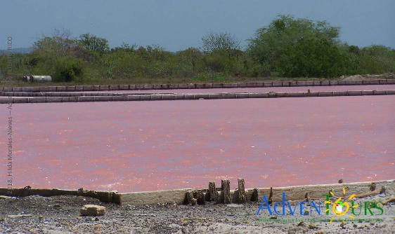 Cabo Rojo Salt Flats by AdvenTours �