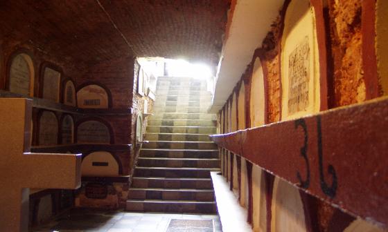 Ruta San Juan Bautista by AdvenTours PUERTO RICO �